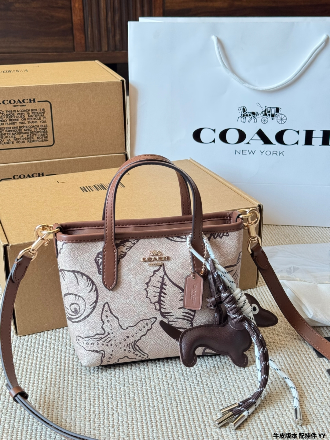 coach bag 67